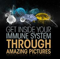 pic inside immunity